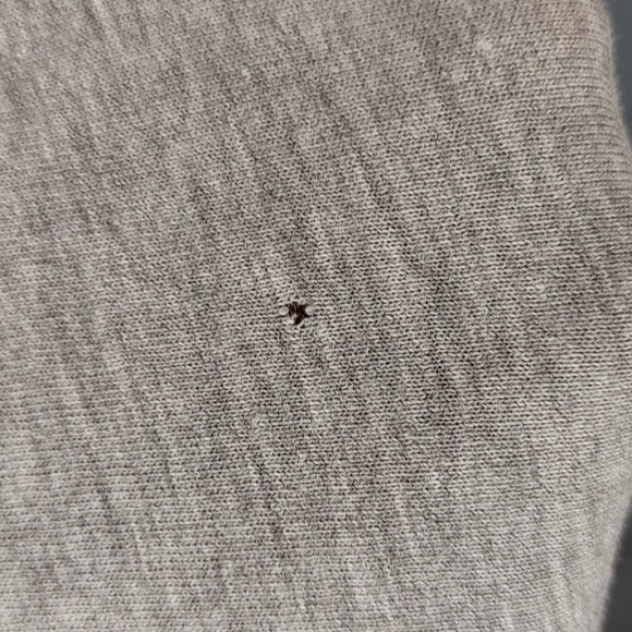 Wonder Woman mid sleeve Tee - Picture 4 of 4